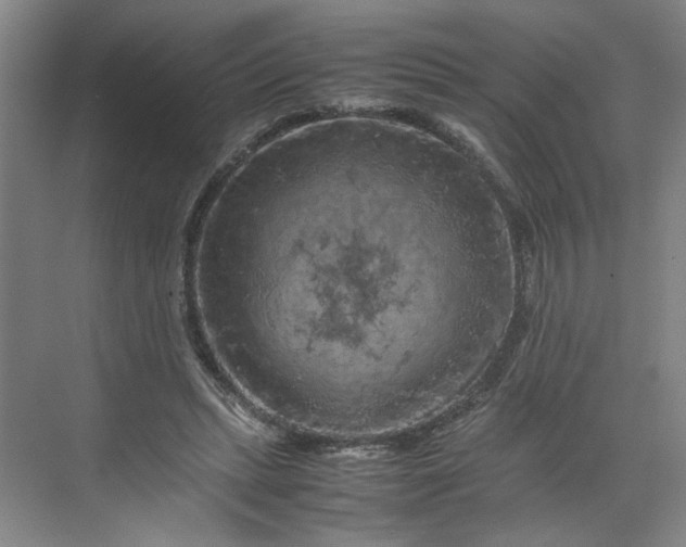 X0000070190447200606091537