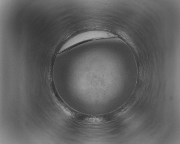 X0000070190449200606091537