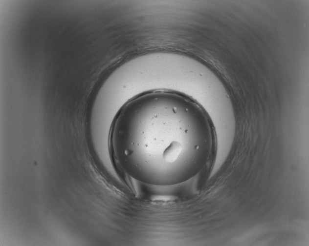 X0000070190450200606091537