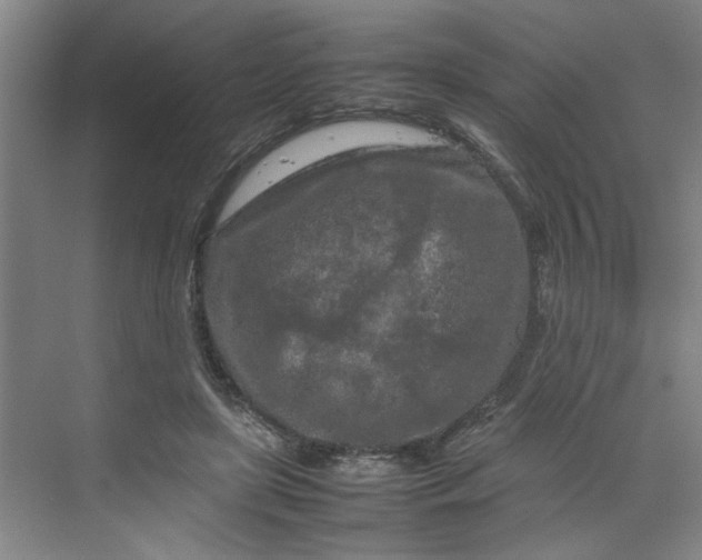 X0000070190451200606091537