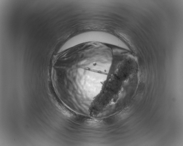 X0000070190453200606091537