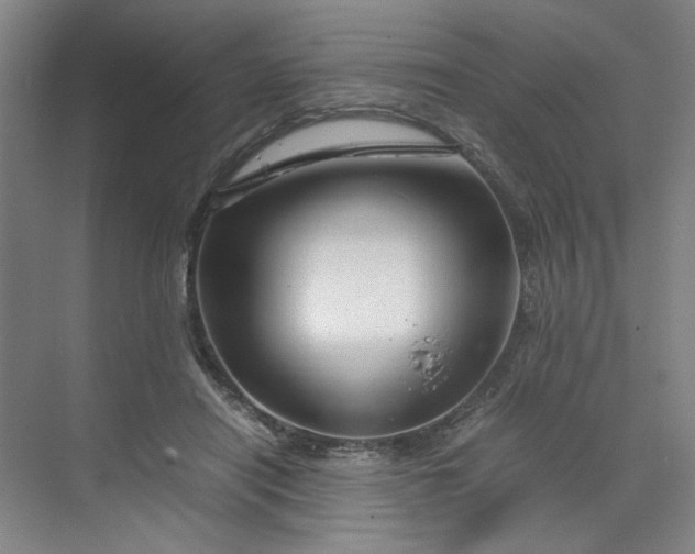 X0000070190454200606091537