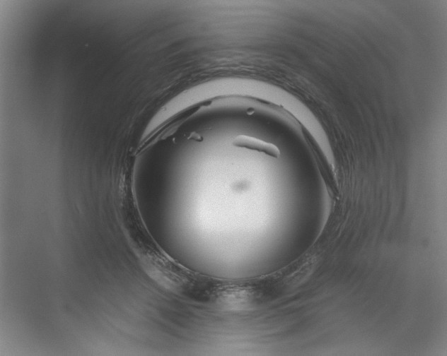 X0000070190456200606091537