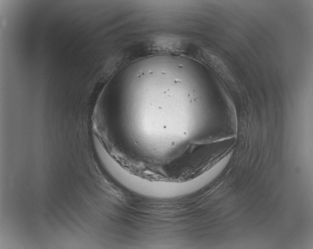 X0000070190457200606091537