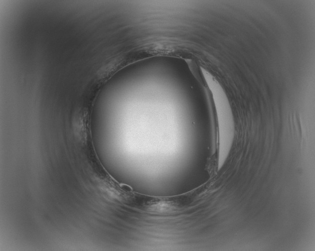 X0000070190460200606091537