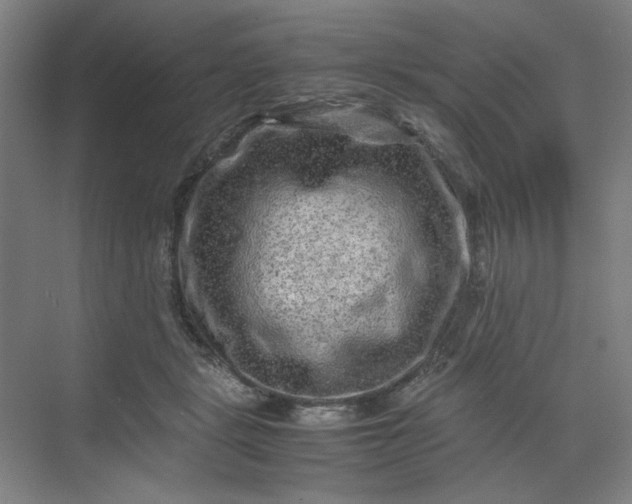 X0000070190461200606091537