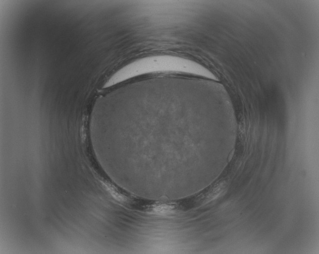 X0000070190462200606091537