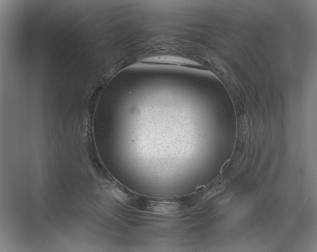 X0000070190463200606091537