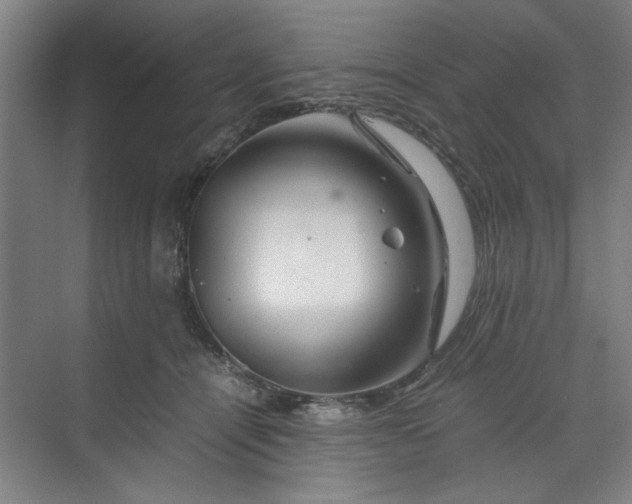 X0000070190464200606091537