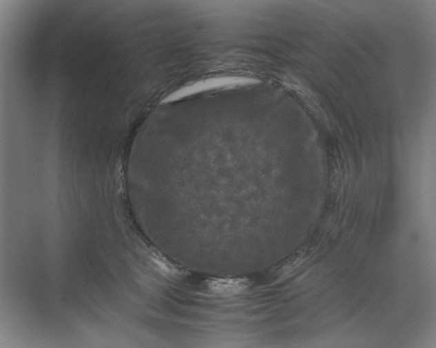 X0000070190465200606091537