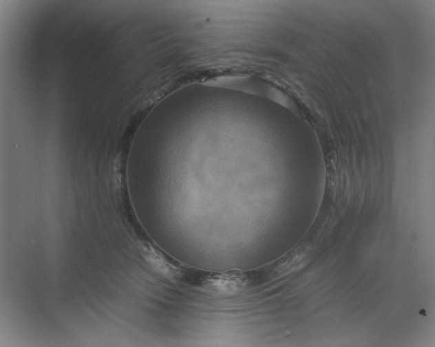 X0000070190466200606091537