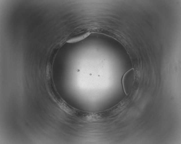 X0000070190468200606091537