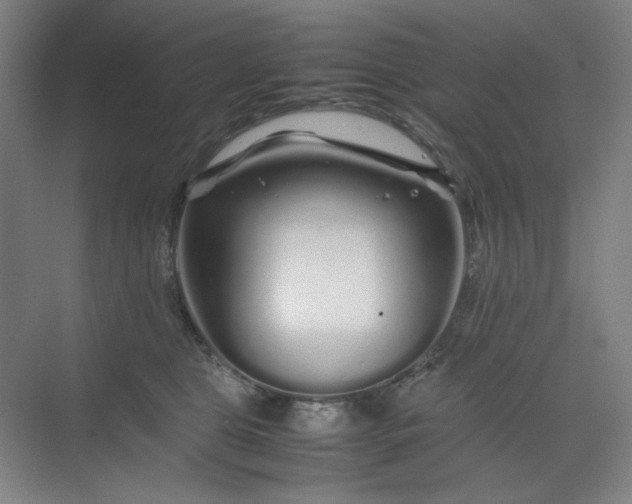 X0000070190469200606091537