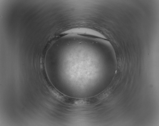 X0000070190470200606091537