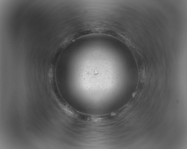 X0000070190472200606091537