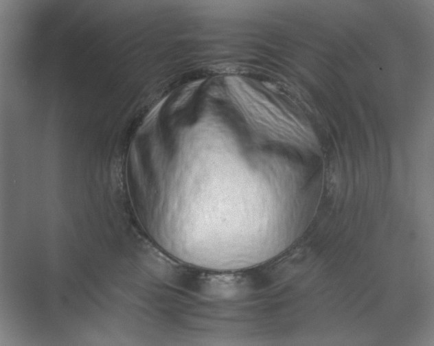 X0000070190473200606091537