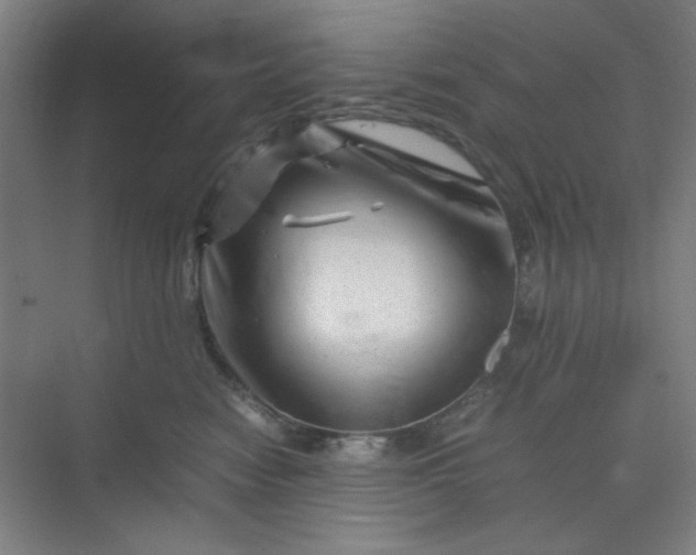 X0000070190474200606091537