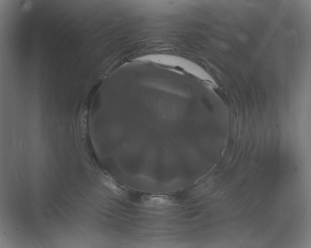 X0000070190475200606091537