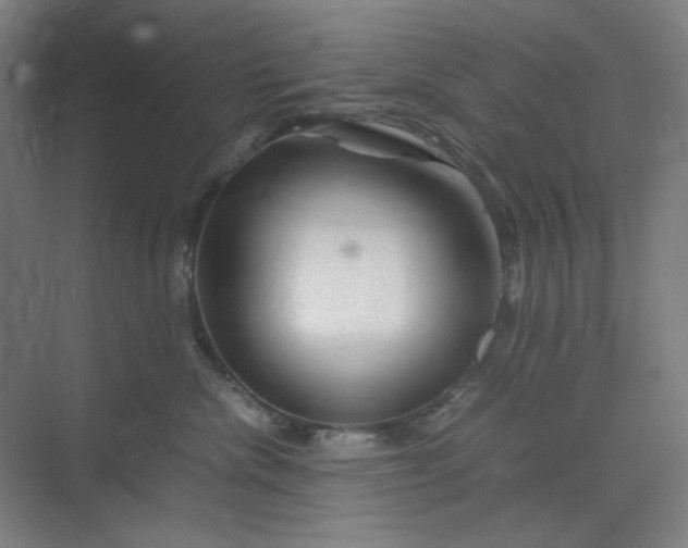 X0000070190476200606091537