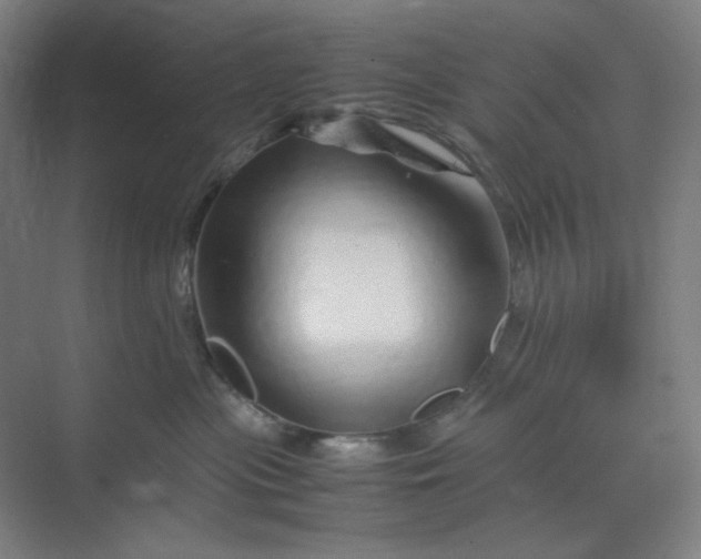 X0000070190477200606091537