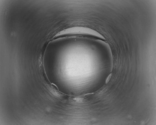 X0000070190478200606091537