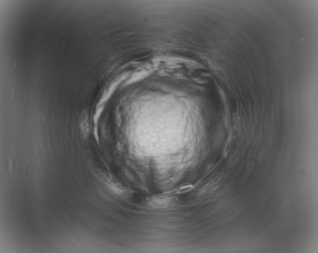 X0000070190479200606091537