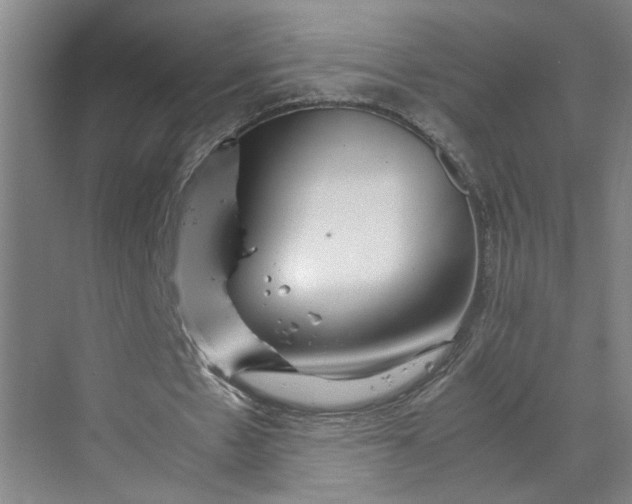 X0000070190481200606091536