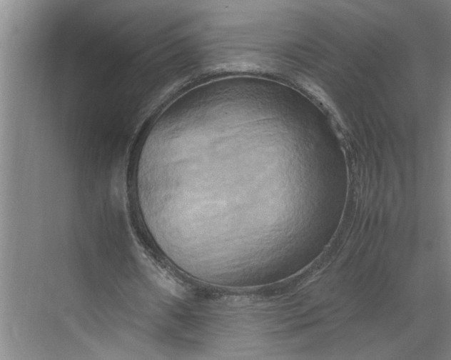 X0000070190482200606091536