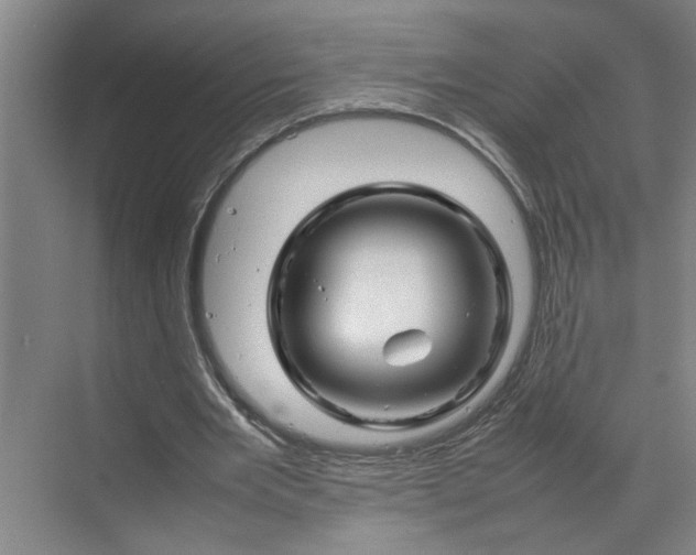 X0000070190485200606091536