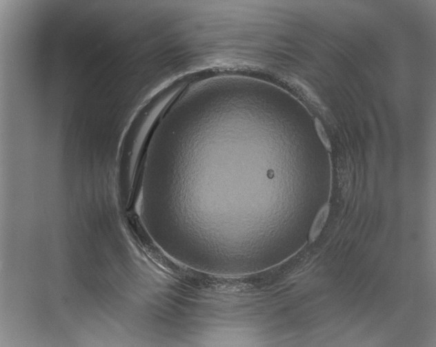 X0000070190488200606091536