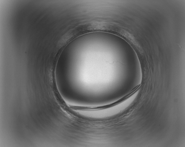 X0000070190489200606091536