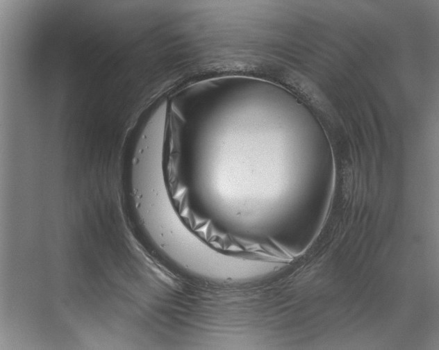 X0000070190490200606091536