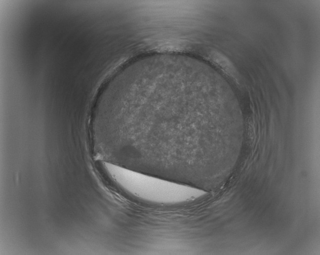 X0000070190491200606091536