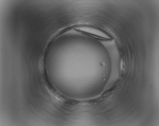 X0000070190492200606091536