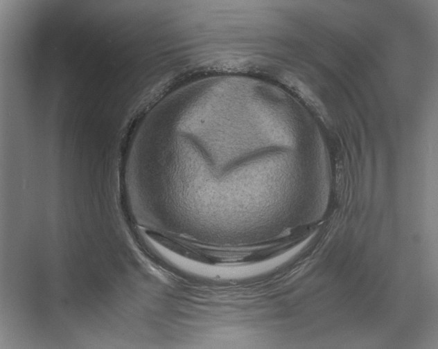 X0000070190493200606091536