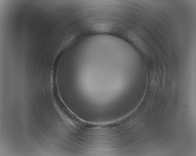 X0000070190494200606091536