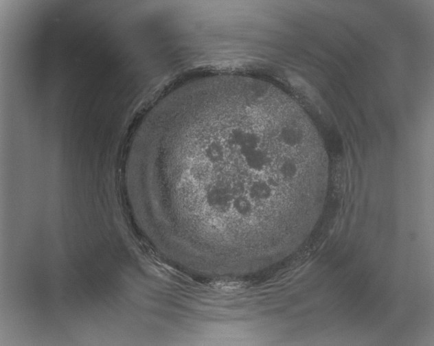 X0000070190495200606091536