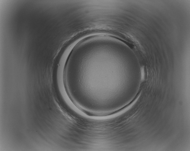 X0000070190496200606091536