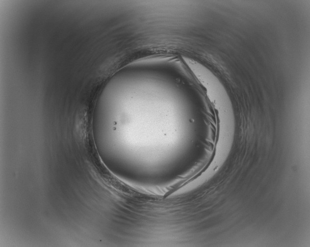 X0000070190498200606091536