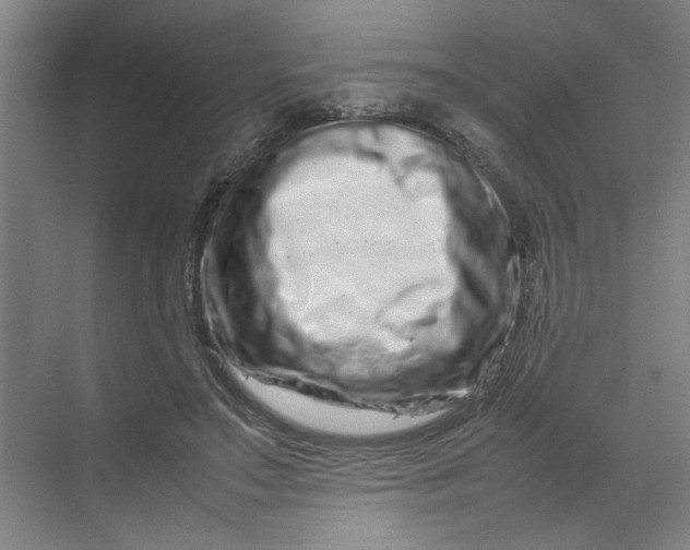 X0000070190499200606091536