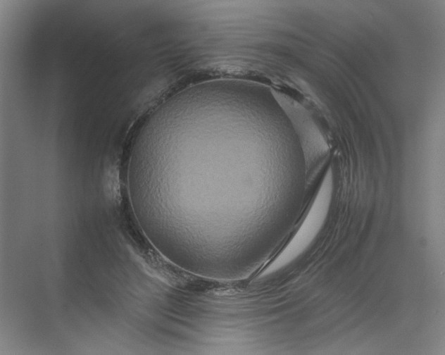 X0000070190500200606091536