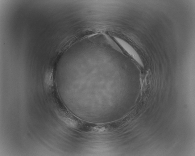 X0000070190502200606091536