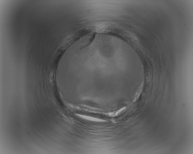 X0000070190503200606091536