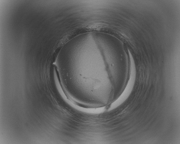 X0000070190504200606091536