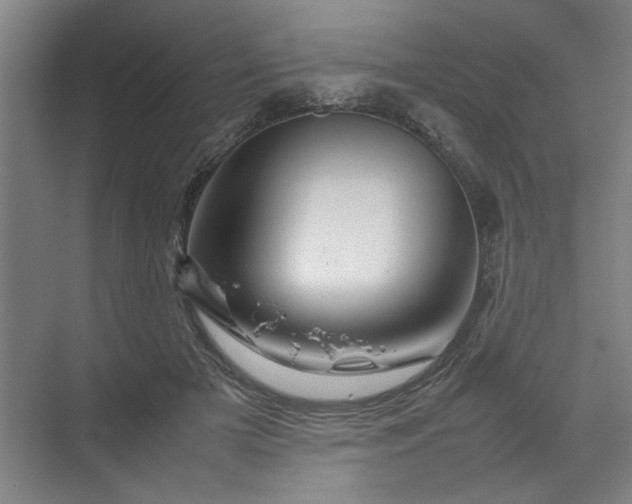 X0000070190505200606091536