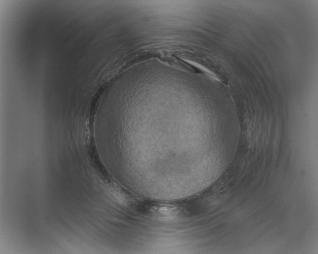 X0000070190506200606091536