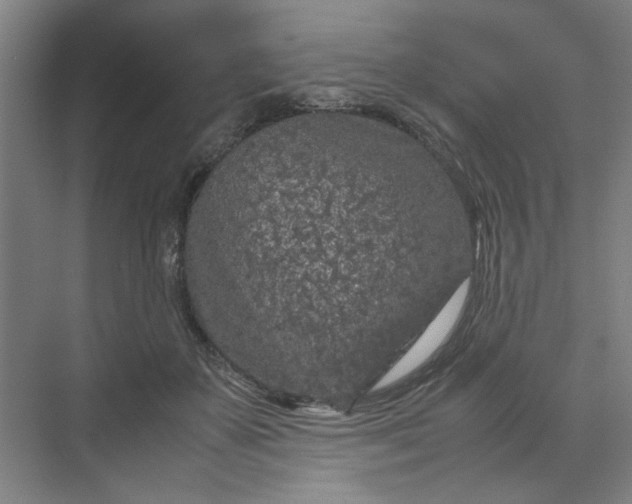 X0000070190507200606091536