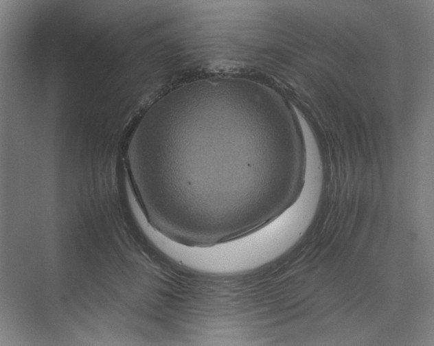 X0000070190508200606091536