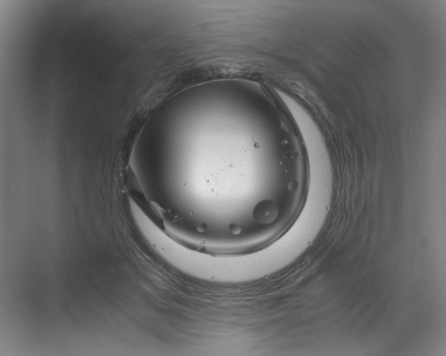 X0000070190509200606091536