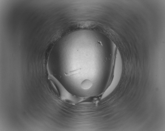 X0000070190510200606091536